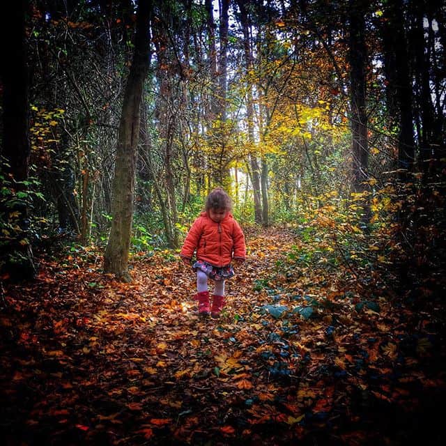 The Cure – A Forest: Das Wäldchen in Felsberg